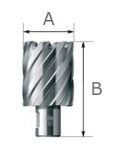 Фреза BDS Maschinen GmbH KBL 100